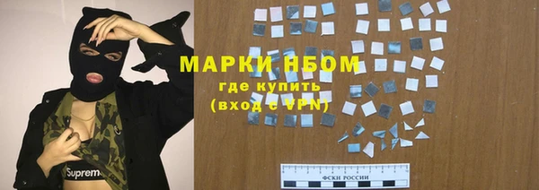 гашик Аркадак