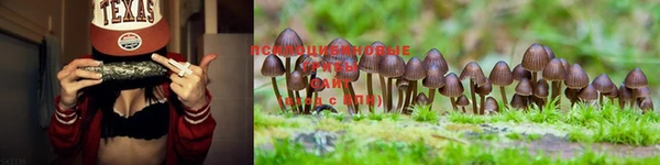 гашишное масло Арсеньев