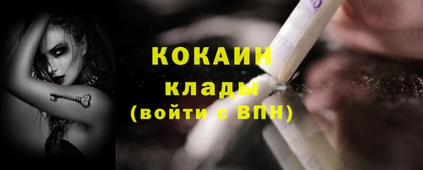 гашик Аркадак