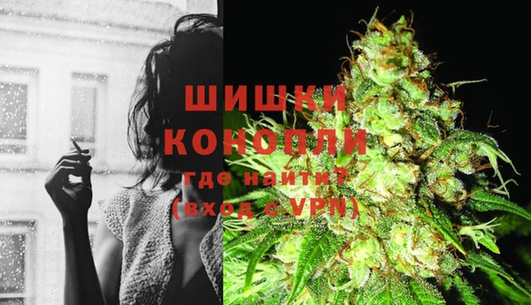гашик Аркадак