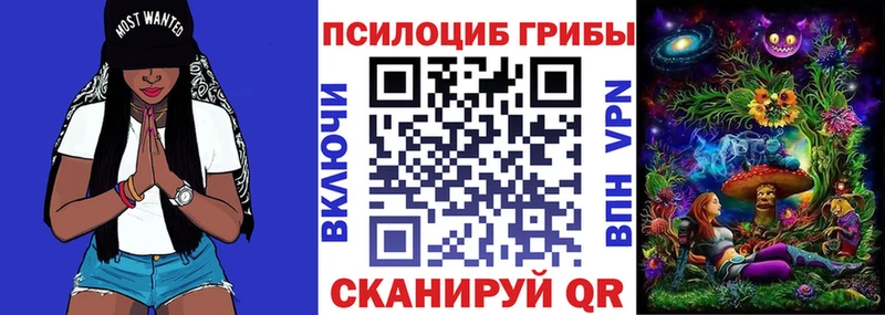 Галлюциногенные грибы Magic Shrooms  цена наркотик  Астрахань 